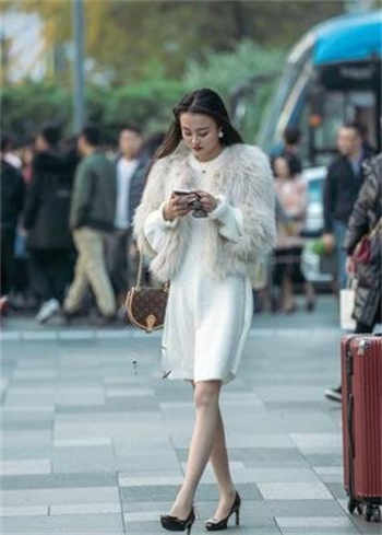 青果网登录找回密码