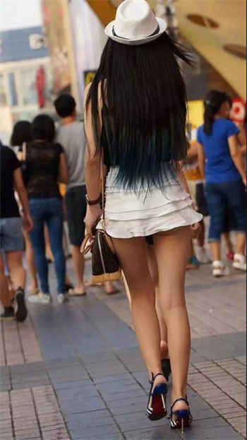 55033tv萤火直播app