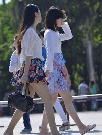极品都市风水师