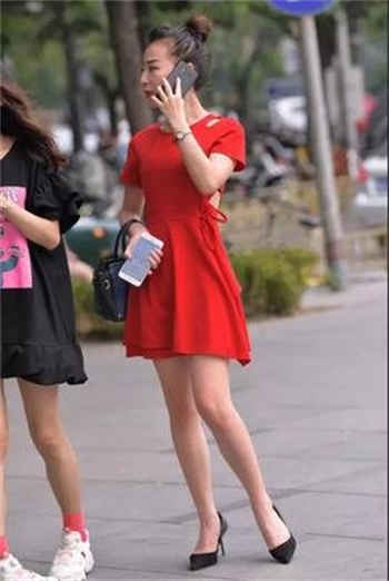 一不小心捡到爱天狼
