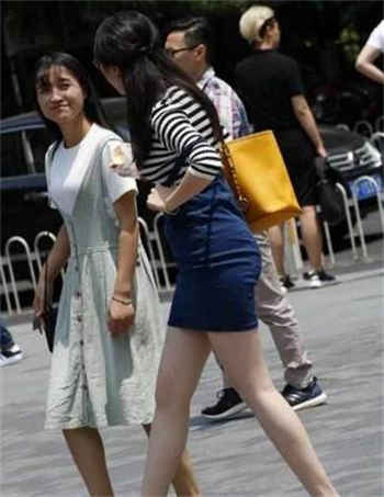 蜘蛛搜索引擎