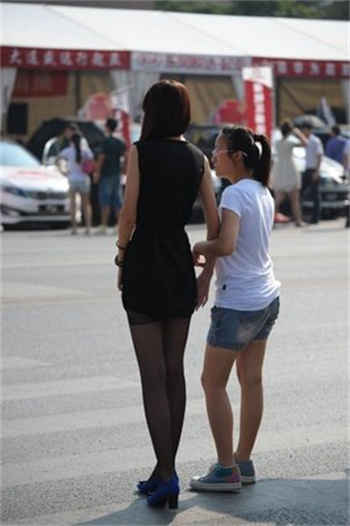 大白菜磁力吧