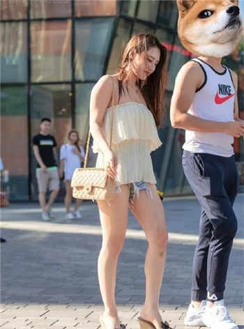 怪侠一枝梅西瓜免费观看