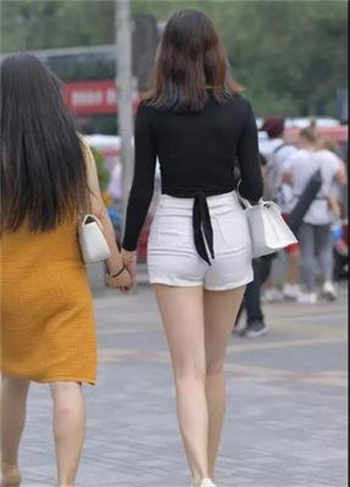 猫咪会员百度贴吧
