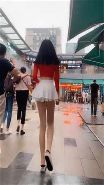 温栩栩霍司爵全文免费听书