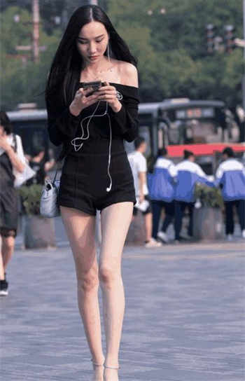 xzl仙踪林官网入口